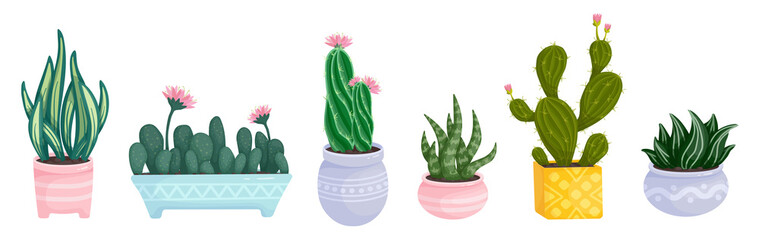 Collection of flowering cacti and succulents in ceramic pots.Cartoon vector graphics.