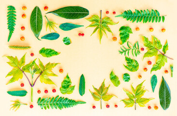 Botanical flatley of green leaves, rowan fruits, and plant twigs, moldings for decor or postcards