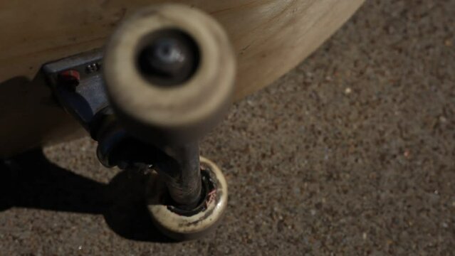 Skateboard Wheels Rolling Mid Afternoon Sunlight Outdoor Lighting