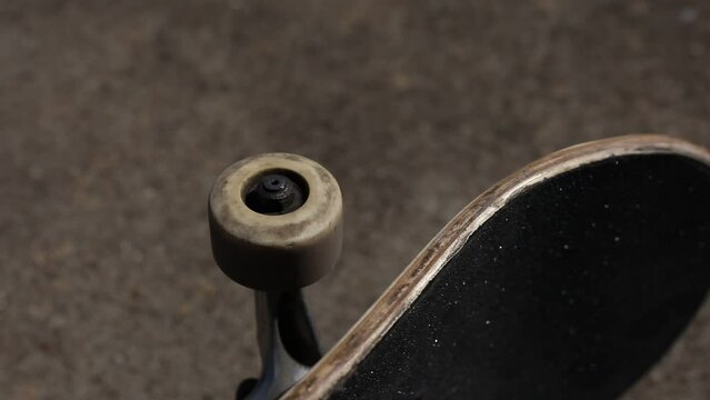 Skateboard Wheels Rolling Mid Afternoon Sunlight Outdoor Lighting