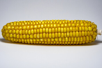 side view of one yellow corn on the cob on white background