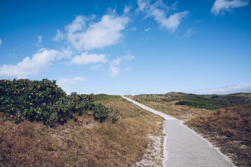 Path on a North Sea island on the North Sea. Holiday at the North Sea. Hiking on vacation