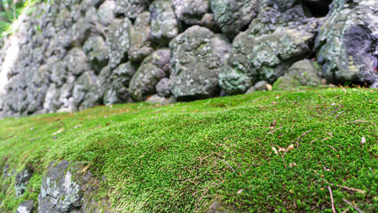 石垣のテクスチャ背景素材