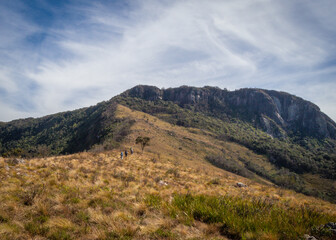 Fototapeta premium Subindo montanhas
