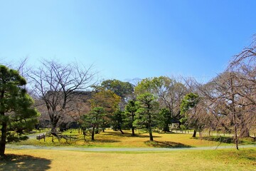 Fototapeta premium 福岡市の舞鶴公園