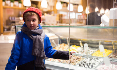 Portrait of interested tween boy in warm clothes pointing to ice cream display case asking to buy...