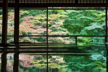Beautiful fresh greenery and autumn leaves reflected on the table at Rurikoin Temple in Kyoto, Japan