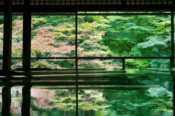 Beautiful fresh greenery and autumn leaves reflected on the table at Rurikoin Temple in Kyoto, Japan