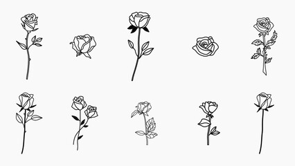 set of hand drawn rose flowers line art