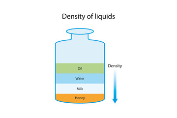Density of liquids. Honey, milk, water and oil - obrazy, fototapety, plakaty