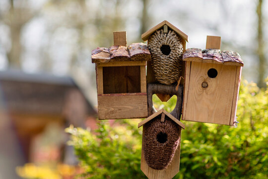 Birdhouses And A Bird Feeder. Spring In Parks And Gardens Concept