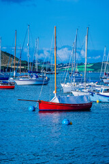 boats in the harbor