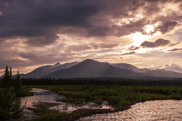 Alaska Summer