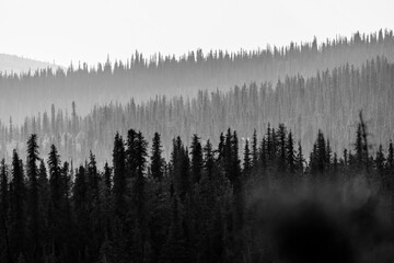 Landscape layers - shades of grey