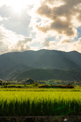 Naklejka premium 光が差し込む山並みと田園風景