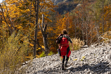 Obraz premium Tourist Solo Woman Hiker In Mountains Autumn Wilderness