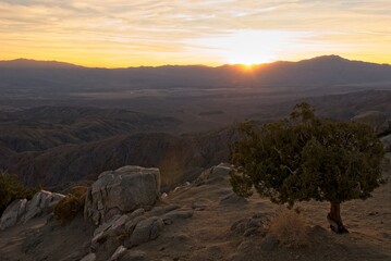 Golden sunset over ridge top in Joshua Tree National Park