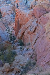 multi-hued canyon wall in Red Rock Canyon National Conservation Area