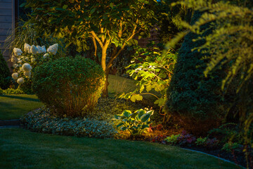 Garden Plants Ambient Lighting - 527472730