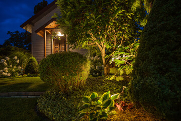 Illuminated Backyard Garden in the Evening