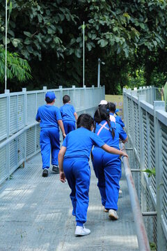 children walking on the conopy walkway