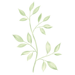 Watercolor tropical green plants isolated on white background.