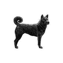 Canaan Dog hand drawing vector illustration isolated on background