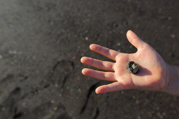 아이의 손위에 올려진 제주도의 생태계