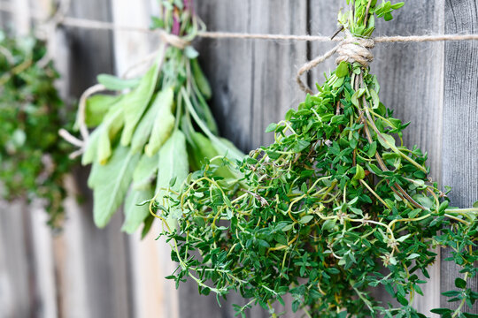 A close up image of three bunches of different herbs hung up to dry by a wooden fence. 