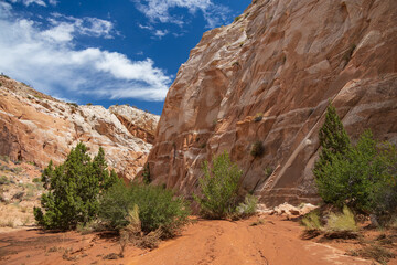 Catstair Canyon, Arizona, USA
