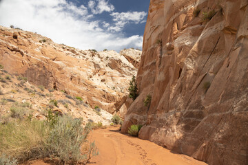 Catstair Canyon, Arizona, USA
