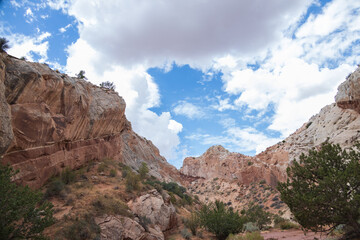 Catstair Canyon, Arizona, USA
