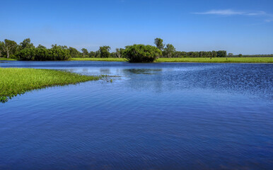 Kakadu river cruise in NT Australia © electra kay-smith