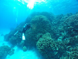 Scuba diving on the reefs of Majuro,Marshall islands.