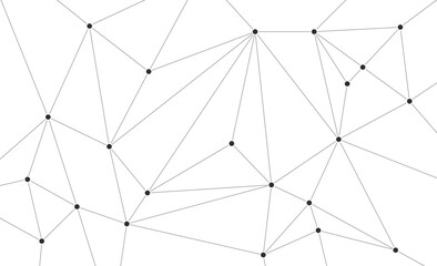 Fototapeta premium Technology abstract polygon lines geometry network connect lines and dots background template.
