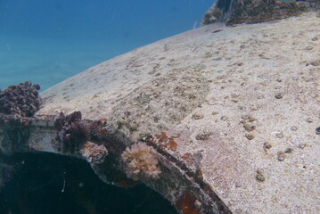 Scuba diving on the reefs of Majuro,Marshall islands.