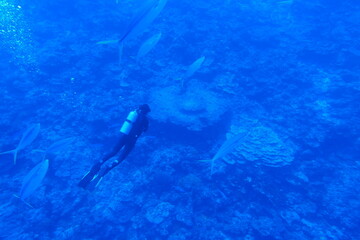 Fototapeta premium Scuba diving on the reefs of Majuro,Marshall islands.