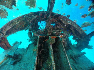 Scuba diving on the reefs of Majuro,Marshall islands.