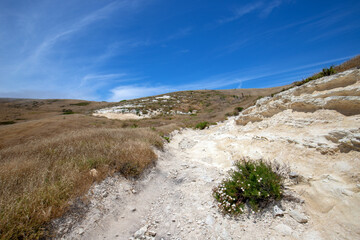 Hiking trail on Santa Cruz island in the Channel Islands National Park off the coast Santa Barbara California United States