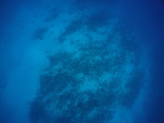 Fototapeta na wymiar Scuba diving on the reefs of Kosrae, Micronesia（Federated States of Micronesia）