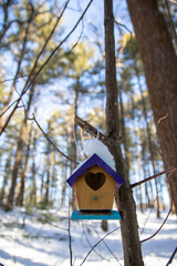 Birdhouse in the Winter