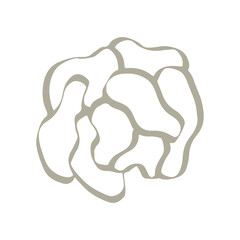 Sketch rose doodle hand drawn