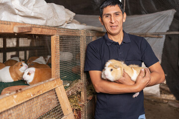 Farmer on a guinea pig farm
