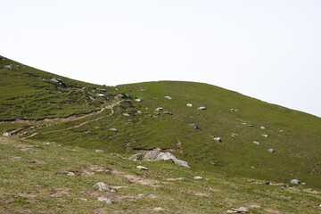 Beautiful green grasslands landscape high altitude region of himachal pradesh, India