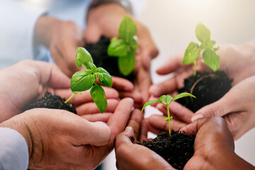 Green economy, sustainability plants hands and global growth of teamwork with hope, help and trust...