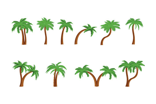 cute palm tree illustration set