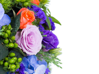 Orange roses and purple roses on a white background.