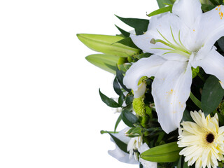 White sunflower and white lilly on white background and copy space
