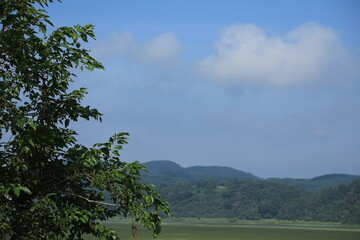 Obraz premium wetland site in korea