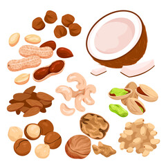 Fototapeta na wymiar Nut seeds with shells set vector illustration. Cartoon isolated organic dry nutty food mix, natural snack collection with healthy coconut almond walnut hazelnut cashew pecan chestnut for eating